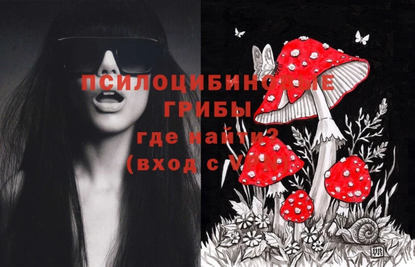 гашик Балахна