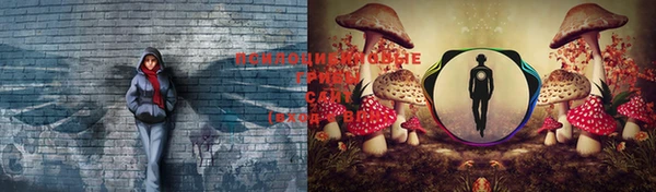 гашик Балабаново