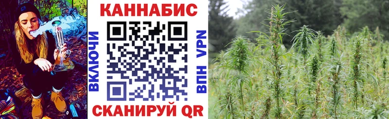 Бошки Шишки гибрид  Таруса 